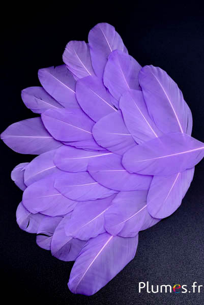 Pétales en plumes - 6-8 x 3-4 cm - lilas